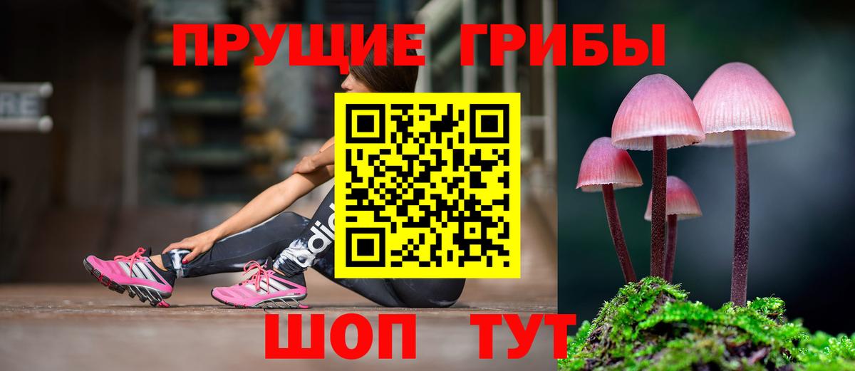 Галлюциногенные грибы Psilocybine cubensis Шахты